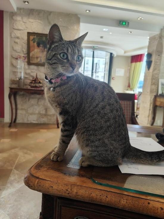فندق Le Relais Medicis باريس المظهر الخارجي الصورة